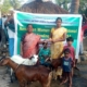 Goats purchased through an AWIU grant