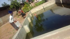 Hope Revival fish pond 1